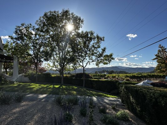 Chimney Rock Winery by null