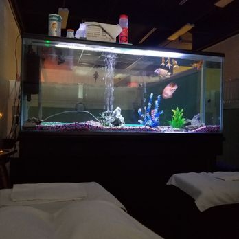 K Spa - The fish tank separates two other massage tables..again little to no privacy...if you're not into it...this is not for you. It's not bad - Massage Near Me - Las Vegas, Nevada