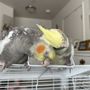 Photo of Mike's Feed & Pets