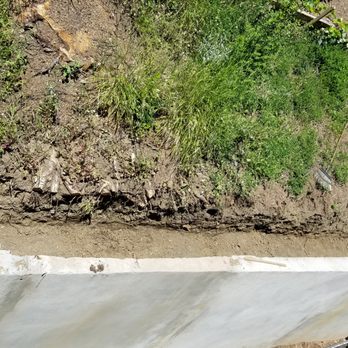 Acevedo Tree Service - Jobsite 2 - Tree Services Near Me - Los Angeles, California Acevedo Tree Service - Jobsite 2 - Tree Services Near Me - Los Angeles, California