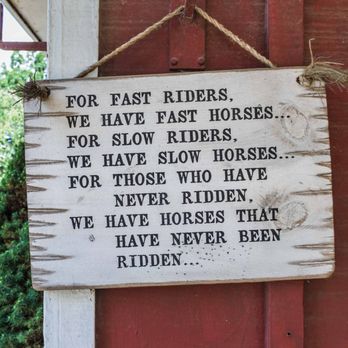 Bronx Equestrian Center - Horseback Riding Near Me - The Bronx, New York