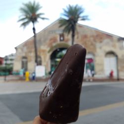 Carpe Diem - Chocolate covered keylime pie