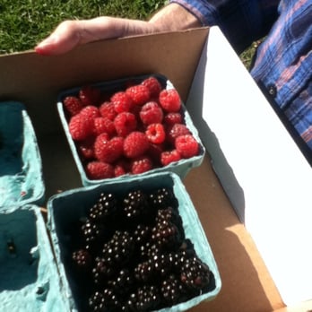 Rose Hill Farm - Good haul! - Fruits & Veggies Near Me - Red Hook, New York Rose Hill Farm - Good haul! - Fruits & Veggies Near Me - Red Hook, New York