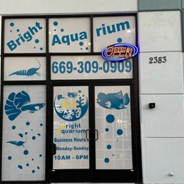 Front their store.