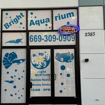 Bright Aquarium - Front their store. - Aquarium Services Near Me - San Jose, California
