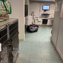 Emerson Animal Hospital - Boarded in the Same room as the xray machine