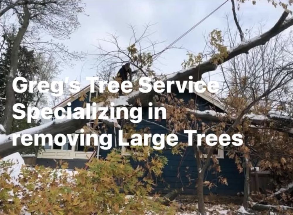 Greg's Tree Service - tree service in Buffalo, NY