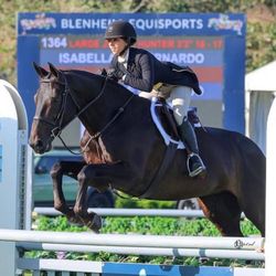 Belmont Training Stable - Isabella Debernardo at Jr Hunter Finals
