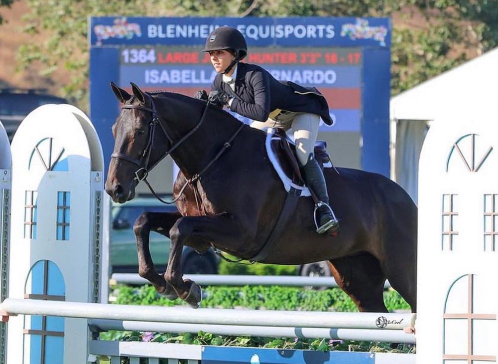 Belmont Training Stable Logo