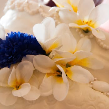 Special Occasions Events - Venues & Event Spaces Near Me - Denver, Colorado Special Occasions Events - Venues & Event Spaces Near Me - Denver, Colorado