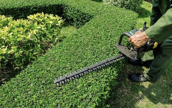 Mowing & Trimming - The key to ENJ Landscaping’s success is customer service, dependability, and quality workmanship. The goal at ENJ Landscaping is to provide a “one-stop shop” offering extensive landscape knowledge and the highest quality of landscape services to the Customers. On staff you can find Professional and best workers for your work As a full-service landscape maintenance and installation company, we are here to help with all of your lawn and landscape needs. * Landscaping ,Mowing, mulch, trimming, and gutter Cleaning * .    We are working in Stockton , Lathrop ,Tracy Livermore ,San Ramon , Dublin ,San Francisco *. Through the power of our network at Imperial General Services , we share and collaborate on best practices, and have in-depth knowledge of local landscapes. We’ve been working in areas all across the country for over 10 years. It is this national strength that we share among our team members and then is shown through their local commitment to our clients in Westchester. Call today and learn more about the #1 landscaping  209 3958763