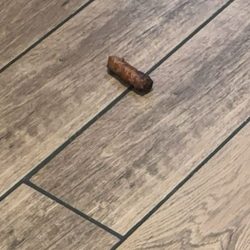Denny's Restaurant - Sausage on the floor!