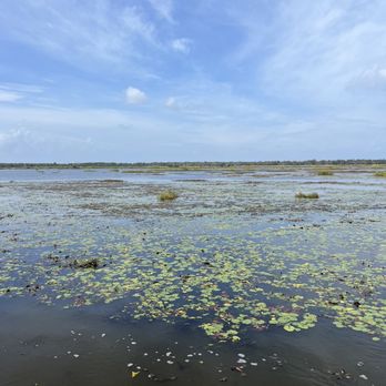 Airboat Adventures - The marsh - Boat Tours Near Me - Lafitte, Louisiana