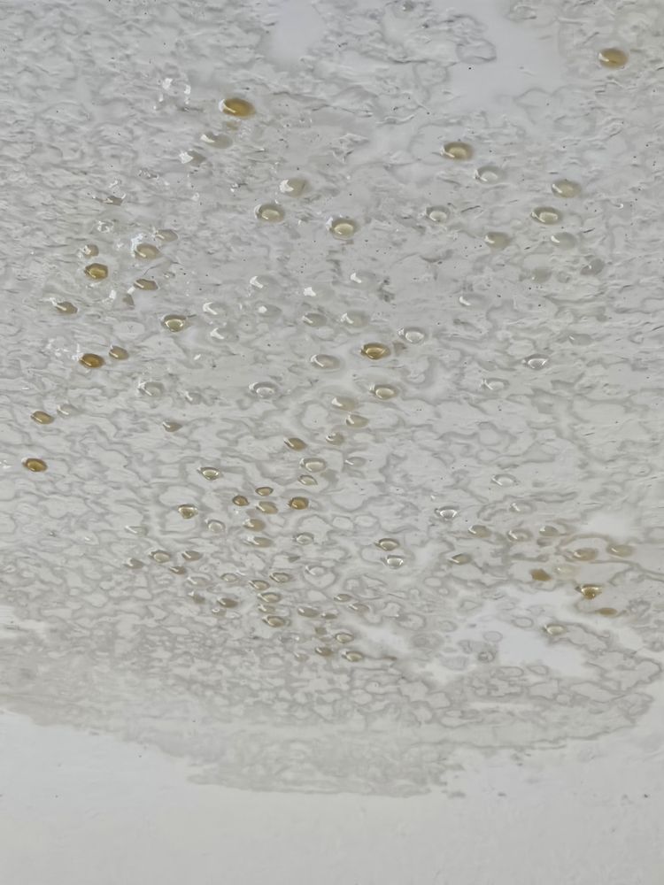 Slide of Green Day Power