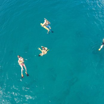 Trilogy Excursions - Snorkeling Near Me - Lahaina, Hawaii Trilogy Excursions - Snorkeling Near Me - Lahaina, Hawaii
