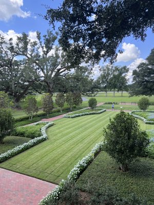 Oak Alley Plantation by null
