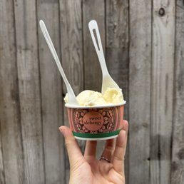 Sweet Cream Ice Cream