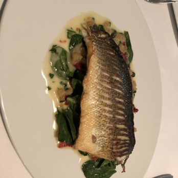 Maison Blanche - Mediterranean Sea Bass - French Near Me - Longboat Key, Florida