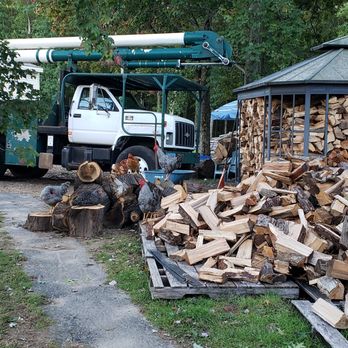 Charter Oak Tree Service - Tree Services Near Me Charter Oak Tree Service - Tree Services Near Me