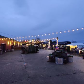 Yelp Elite Event: Holiday Preview - Xmas lights outside - Yelp Events Near Me - Snohomish, Washington Yelp Elite Event: Holiday Preview - Xmas lights outside - Yelp Events Near Me - Snohomish, Washington