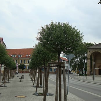 Isoldes - Hair Salons Near Me - Oranienburg, BB Isoldes - Hair Salons Near Me - Oranienburg, BB
