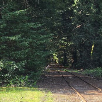 Skunk Train - Tours Near Me - Fort Bragg, California