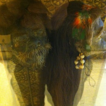 Vanderbilt Museum - Shrunken heads! - Museums Near Me - Centerport, New York Vanderbilt Museum - Shrunken heads! - Museums Near Me - Centerport, New York