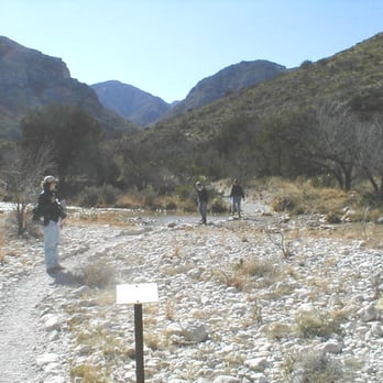 Guadalupe Mountains National Park - Parks Near Me - Salt Flat, Texas