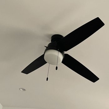 Oz Moving & Storage - Movers Near Me - New York, New York