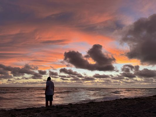 Venice Beach by null