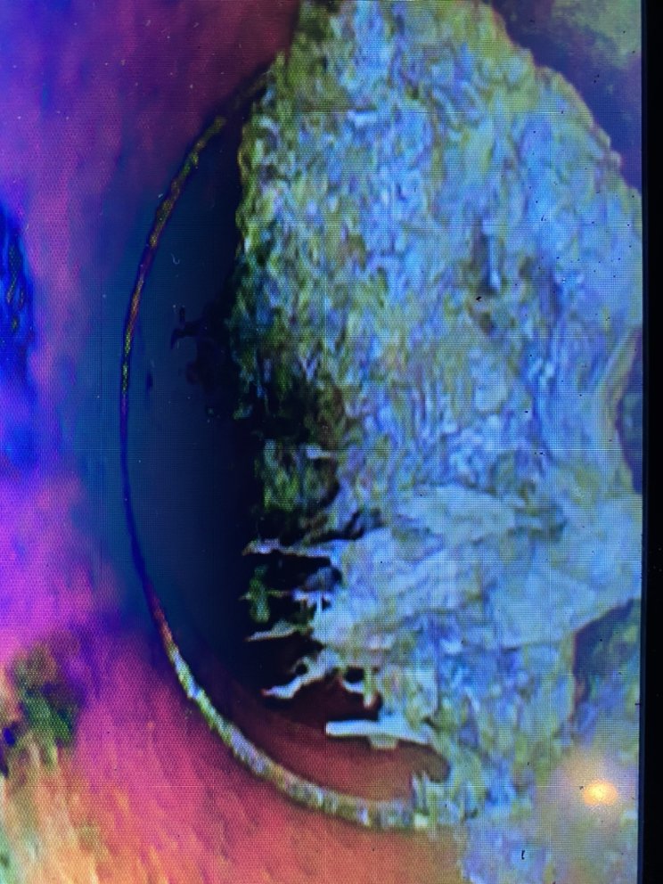 Slide of Drain Monkeys