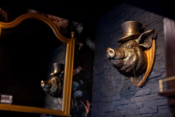 Fat of the Land by null