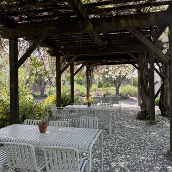 Frog's Leap Winery - The gardens - Wineries Near Me - Rutherford, California