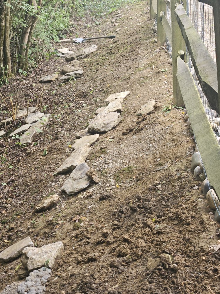 Kidwell & Son's - tree service in Cincinnati, OH