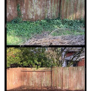 O& E Landscaping Services - Ivy Removal (Fence & Ground) + Weed pulling and clearing of existing branches - Landscaping Near Me