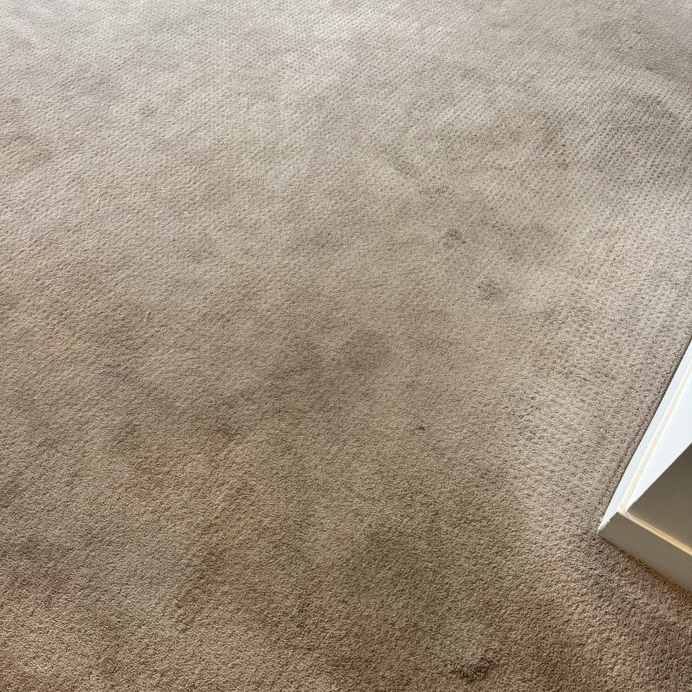 Coconut Cleaning - Carpet Cleaning Near Me - Chandler, Arizona Coconut Cleaning - Carpet Cleaning Near Me - Chandler, Arizona
