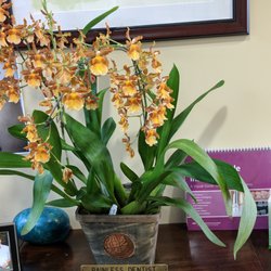 Nancy Ruth Kaher, DDS