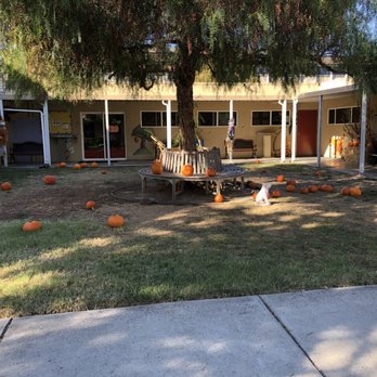 Resurrection Lutheran Child Development Program - Our beautiful courtyard - Preschools Near Me - Dublin, California