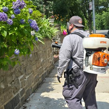 Pest Invaders Solution - Mosquito treatment. Pest Control near me. - Pest Control Near Me - New York, New York Pest Invaders Solution - Mosquito treatment. Pest Control near me. - Pest Control Near Me - New York, New York