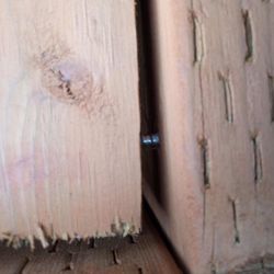 EJU Woodworking