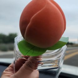 Viral Peach Ice Cream for the road