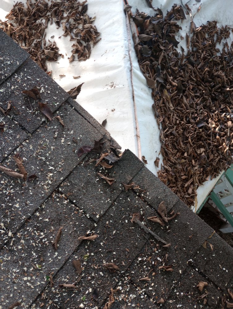 Slide of Post Roofing & Tree Services