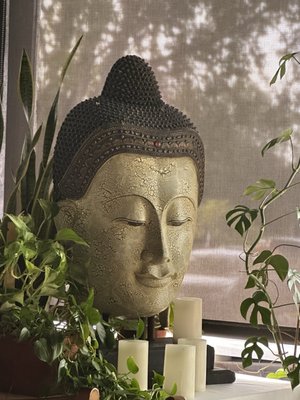Tani Thai Restaurant by null