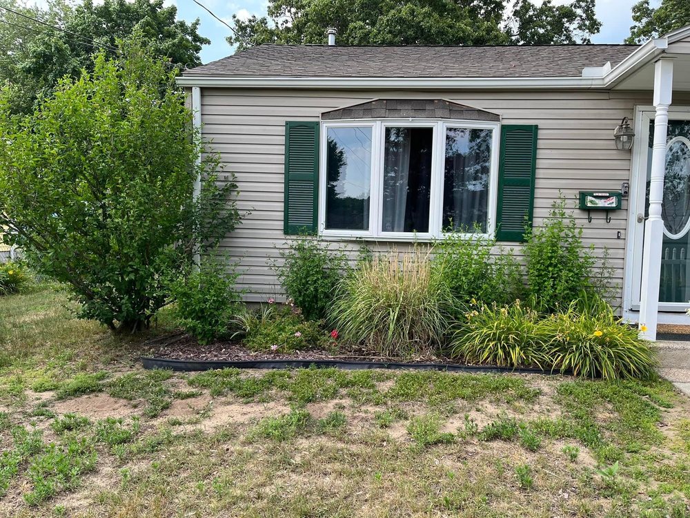 413 Shrub & Hedge Trimming - tree service in Springfield, MA