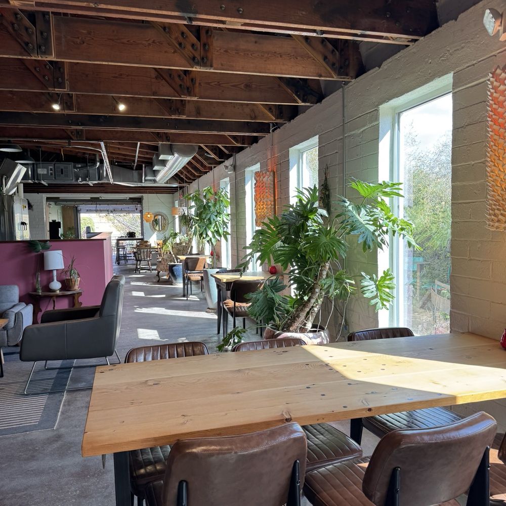 Slow Body Beer - Green plants and seating area - Beer Bar Near Me - Tucson, Arizona