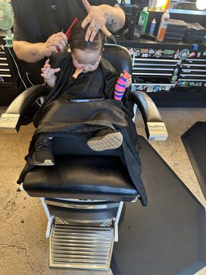 Birds Barbershop by null