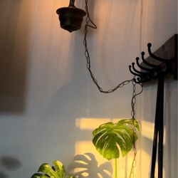 Catnip Antiques - Rain lamp from Catnip