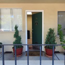 juniper & knots - Entrance