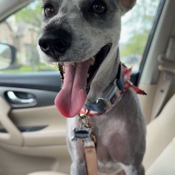 LUX Wellness Pet Spa - Pet Groomers Near Me - Brookshire, Texas LUX Wellness Pet Spa - Pet Groomers Near Me - Brookshire, Texas