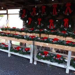 J R Wright & Sons - Nurseries & Gardening Near Me - Silver Spring, Maryland